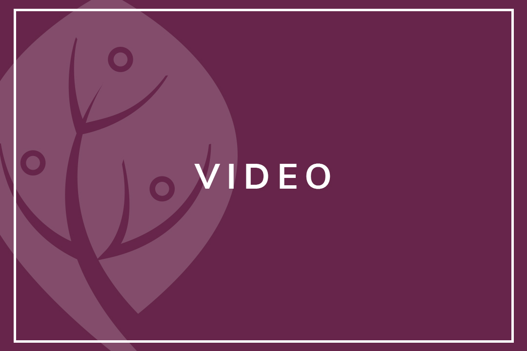 Health-Quality-BC-Default-Video-Resource-Image
