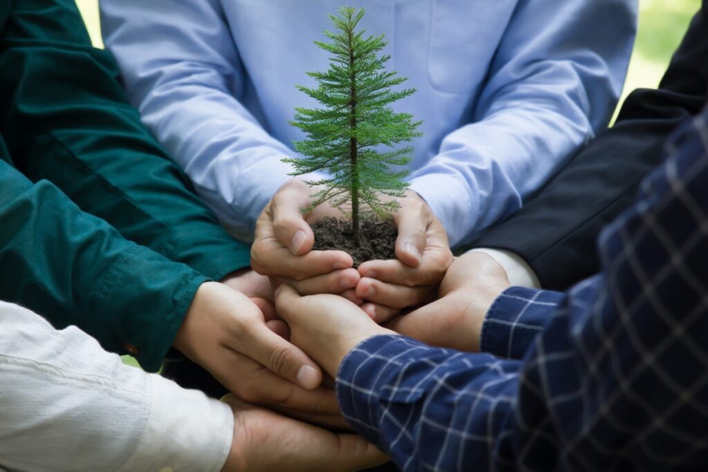 Sapling-Health-Quality-BC