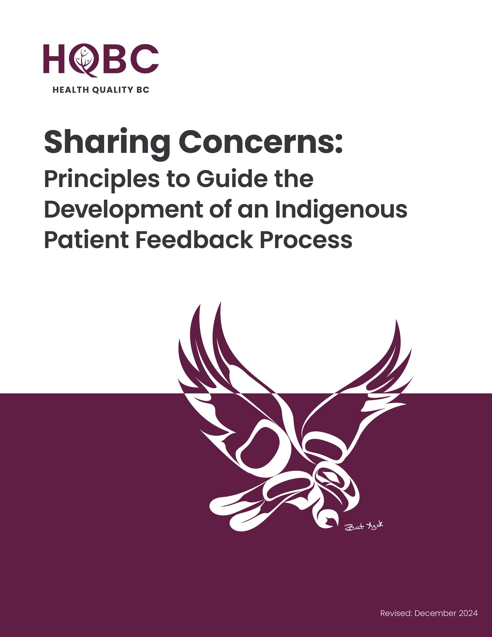 Sharing-Concerns-Principles-to-Guide-the-Development-of-an-Indigenous-Patient-Feedback-Process-Health-Quality-BC-Thumbnail