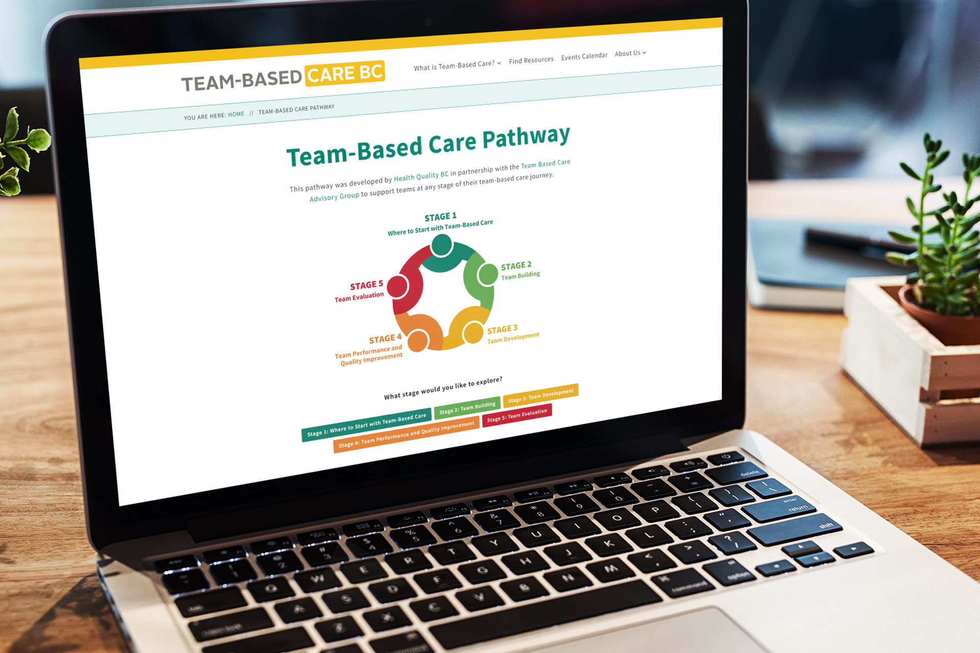 Team-Based-Care-BC-Pathway-Health-Quality-BC-001